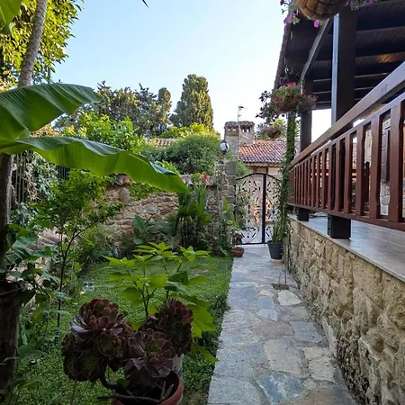 Villa Mondovilla A Charming In Ancient Near The Theatre Just 60 Meters From The