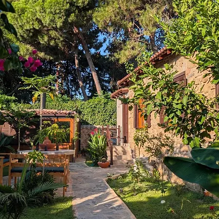 Mondovilla A Charming In Ancient Near The Theatre Just 60 Meters From The シダ